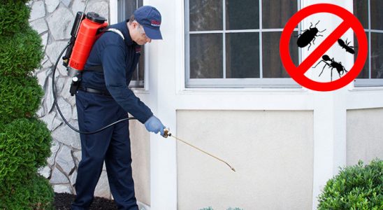 Tufanbeyli Dezenfeksiyon böcek ilaçlama ve haşere kontrolü — ilaclama-tr.com